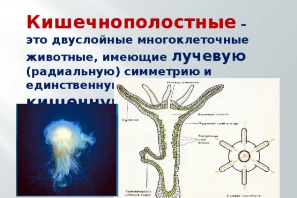 Кракен ссылка официальная