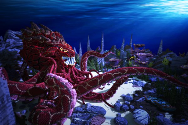 Kraken площадка