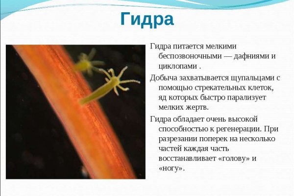 Ссылки на кракен блэкспрут