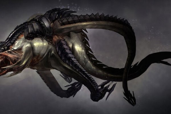 Kraken 24at