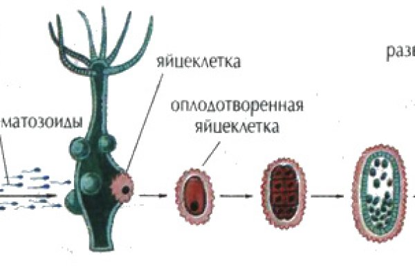 Kraken зеркало kraken dark link