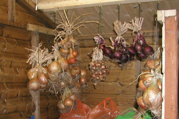 Kraken вход и ссылки