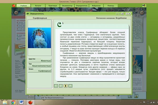 Кракен нов
