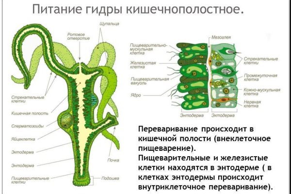 Кракен даркнет маркет