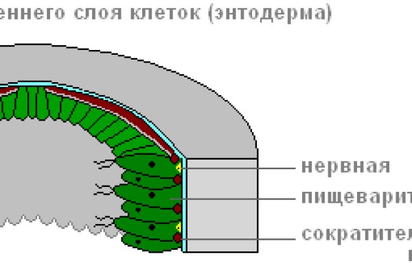 Кракен как попасть