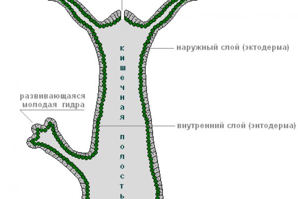Кракен сайт store