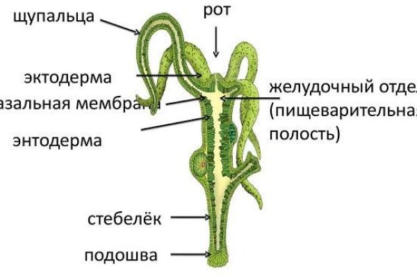 Сайты по продаже наркотиков
