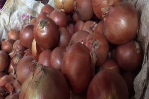Как зайти на кракен через айфон
