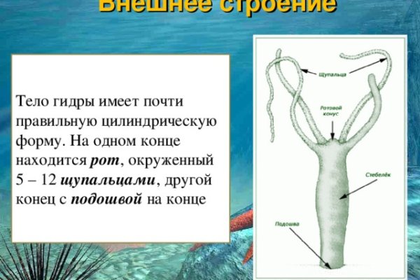 Кракен официальная ссылка kraken torion