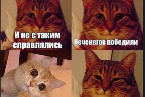 Kraken что это за магазин