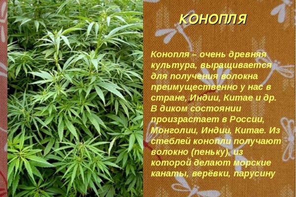 Кракен сайт даркнет ссылка