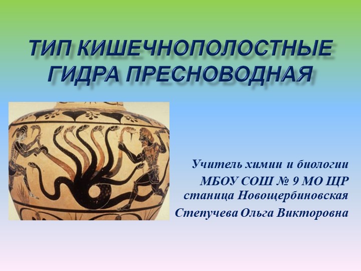 Нарко маркетплейсы
